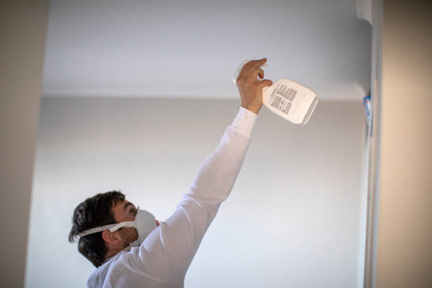 Mold Removal Process in Rocky Point, WA