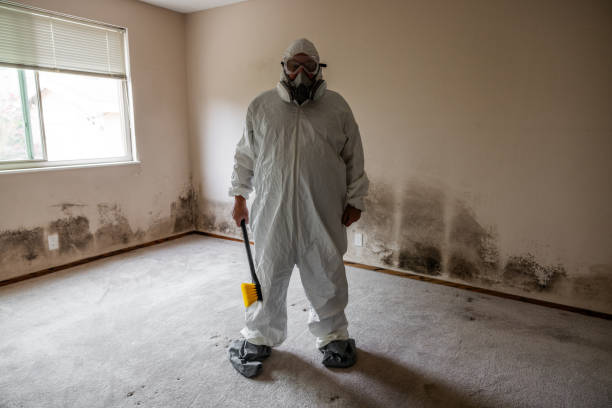 Best Black Mold Removal  in Rocky Point, WA